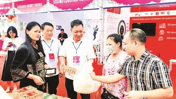Sở Công thương tích cực hỗ trợ các doanh nghiệp, hợp tác xã tham gia hội chợ để giới thiệu, quảng bá, mở rộng kênh bán hàng. (Ảnh HẰNG NGA)
