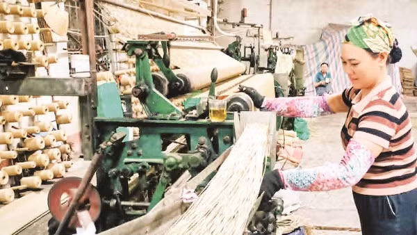 Chiếu cói An Vũ dày, mềm, dẻo rất được khách hàng ưa chuộng.