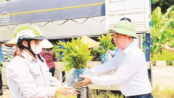 Người dân xã Nghĩa Tá nhận cây keo giống để triển khai trồng rừng. (Ảnh DUY THÁI)