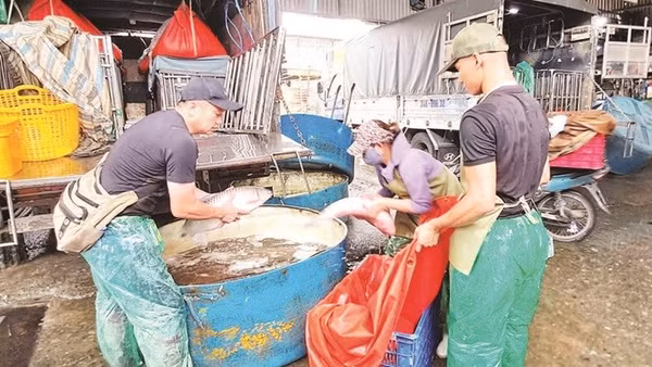 Hoạt động kinh doanh thủy sản tại chợ cá Yên Sở.