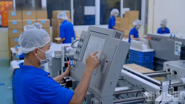 Nhu cầu tuyển dụng lao động kỹ thuật tại Thành phố Hồ Chí Minh tăng cao. (Ảnh: Tùng Anh)