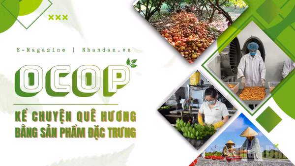 Kể chuyện quê hương bằng sản phẩm đặc trưng