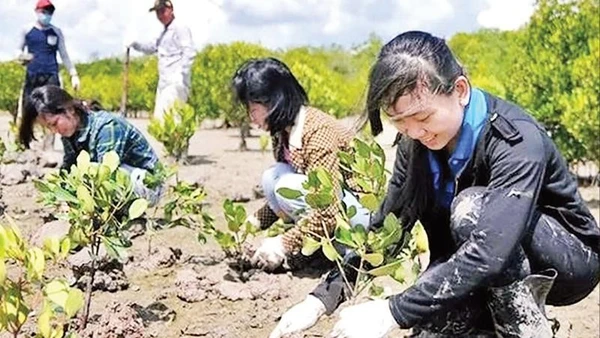 Thanh niên tham gia trồng rừng ngập mặn ven biển phường Phú Mỹ, Thành phố Hồ Chí Minh.
