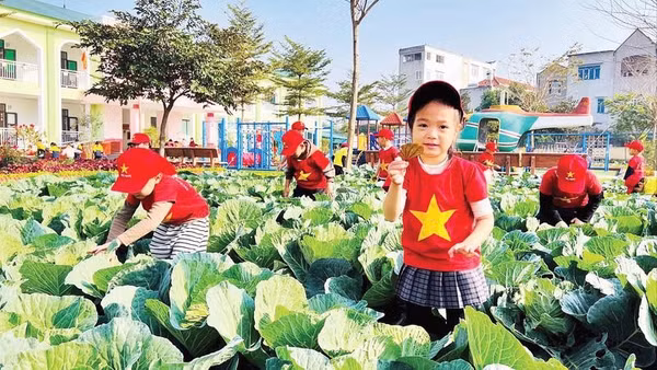 Khuôn viên thoáng, đẹp của Trường mầm non Yên Đồng, xã Tam Hồng.