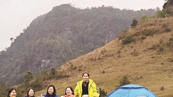 Du khách tham quan, trải nghiệm tại đồi cỏ Phan Thanh.