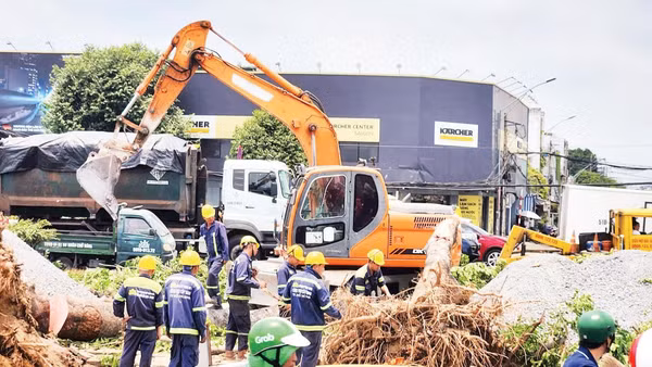 Bù đắp mảng xanh ở các công trình trọng điểm