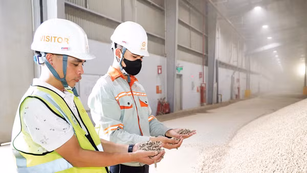 Sản phẩm viên nén sinh khối của Nhà máy nhiên liệu sinh khối Erex Sakura Tuyên Quang được thị trường Nhật Bản đón nhận.