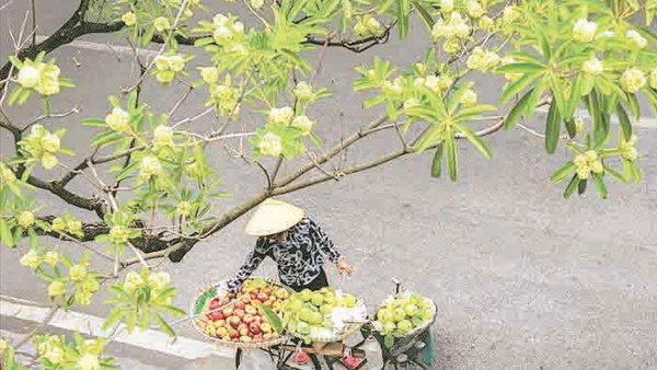Thu Hà Nội đem theo những điều giản dị mà lãng mạn. (Ảnh LÊ TRANG)
