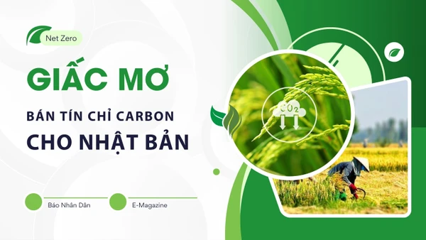 Giấc mơ bán tín chỉ carbon cho Nhật Bản