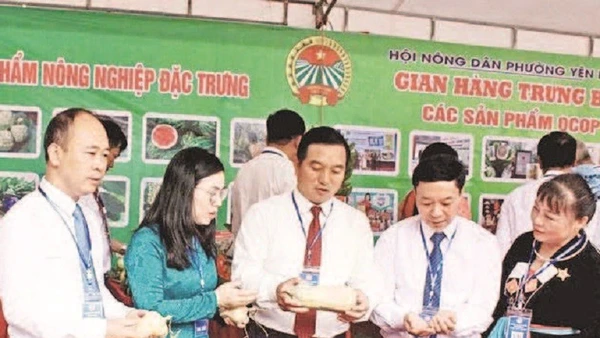 Lãnh đạo Hội Nông dân tỉnh thăm gian hàng trưng bày sản phẩm nông nghiệp.