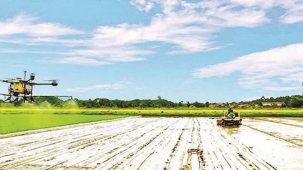 Cơ giới hóa trong trồng lúa chất lượng cao ở Hợp tác xã Tiến Thuận, thành phố Cần Thơ.