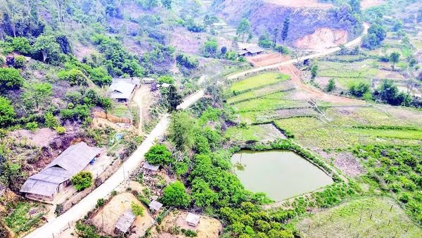 Đường từ trung tâm xã biên giới Lóng Phiêng vào bản Đin Chí đã được bê-tông hóa, giúp người dân đi lại thuận tiện cả bốn mùa.