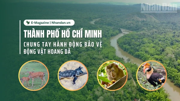 Thành phố Hồ Chí Minh chung tay hành động bảo vệ động vật hoang dã