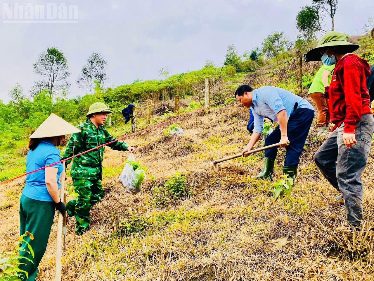 Cấp ủy, chính quyền xã Phúc Trạch huy động lực lượng hỗ trợ các hộ dân trồng dó trầm ở bản Rào Tre. ndo_tl_chu-3.jpg