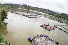 Toàn bộ 53 lồng cá, với khoảng 83 tấn bị chết, ước tính thiệt hại hơn 3,5 tỷ đồng.