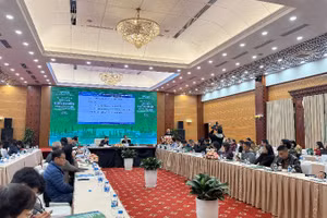 Toàn cảnh Hội thảo.