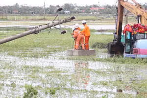Công nhân ngành Điện khắc phục sự cố bão số 5. (Ảnh: EVN)