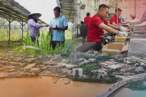 Kinh tế tuần hoàn, từ hạt mầm ý tưởng đến trái ngọt phát triển bền vững