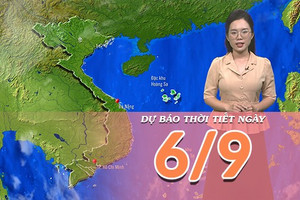 [Video] Dự báo thời tiết ngày 6/9/2025: Bắc Bộ mưa dông về chiều tối