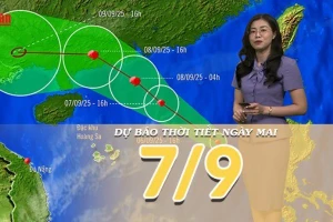 [Video] Dự báo thời tiết đêm nay và ngày mai 7/9/2025: Bão số 7 hình thành