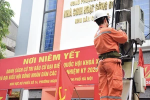 Tăng cường rà soát lưới điện, bảo đảm nguồn điện ổn định trên địa bàn.