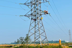 EVNNPC triển khai nâng cấp sửa chữa lưới điện. 