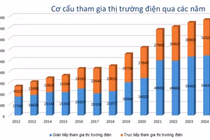 Biểu đồ Cơ cấu tham gia thị trường điện qua các năm. 