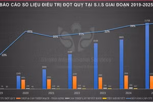 Báo cáo số liệu điều trị đột quỵ tại S. I. S giai đoạn 2019-2025