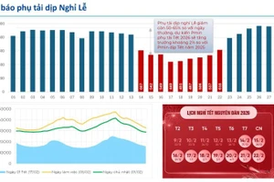 Dự báo tiêu thụ điện dịp Tết Nguyên đán. 