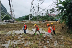 Vị trí cột 167 tại xã Vĩnh Lạc, huyện Lục Yên, tỉnh Yên Bái. (Ảnh: LÊ TIÊN)