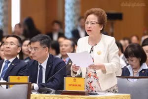 Bà Nguyễn Thị Nga, Quyền Chủ tịch Hội Doanh nhân Tư nhân Việt Nam, Chủ tịch Tập đoàn BRG.