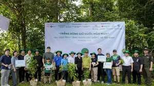Trao tặng cây, tạo sinh kế bền vững cho người dân địa phương.
