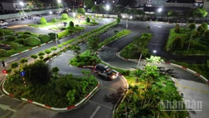 Đông đảo thí sinh miệt mài chờ thi sát hạch lái xe xuyên đêm tại Trung tâm Sát hạch lái xe Miền Đông, phường Long Bình, Thành phố Hồ Chí Minh.