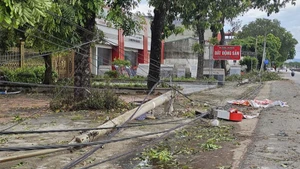 Cột điện cùng dây dẫn điện ở phường Nghi Sơn, tỉnh Thanh Hóa bị gãy, đổ.