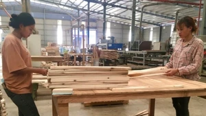 Hoa Kỳ hiện là thị trường lớn nhất, tiêu thụ hơn 55% tổng lượng gỗ và sản phẩm gỗ xuất khẩu của Việt Nam.