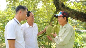 Ông Lê Văn Sáu (bên phải) chia sẻ kinh nghiệm, kỹ thuật trồng sầu riêng.