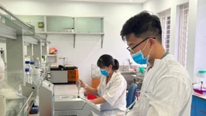 Nghiên cứu chọn tạo giống tại Viện Cây lương thực và Cây thực phẩm. (Ảnh HÀ LINH)