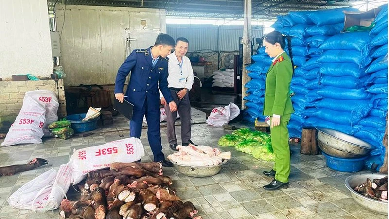 Thanh Hóa: Phát hiện gần 6 tấn xương, chân trâu bò không rõ nguồn gốc tại hai kho lạnh
