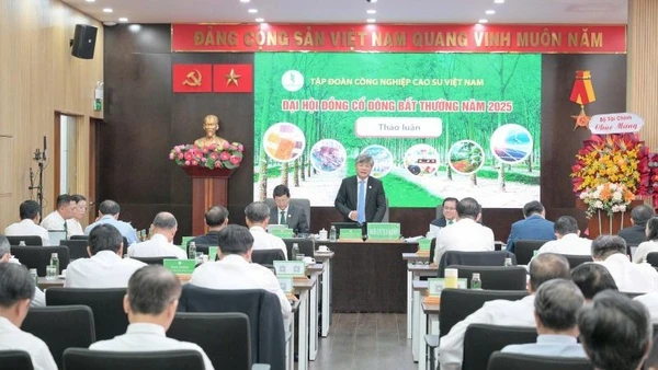 Quang cảnh Đại hội cổ đông bất thường năm 2025 Tập đoàn VRG ngày 5/11 tại Thành phố Hồ Chí Minh.