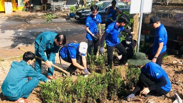 Các tình nguyện viên trồng hoa cải tạo bãi rác thành công viên tại Khu phố 46, phường Tăng Nhơn Phú.