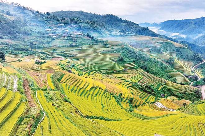 Hương lúa mới quyện cùng gió núi trong lành khiến bước chân ai cũng như chậm lại để tận hưởng trọn vẹn vẻ đẹp mộc mạc mà say đắm. 