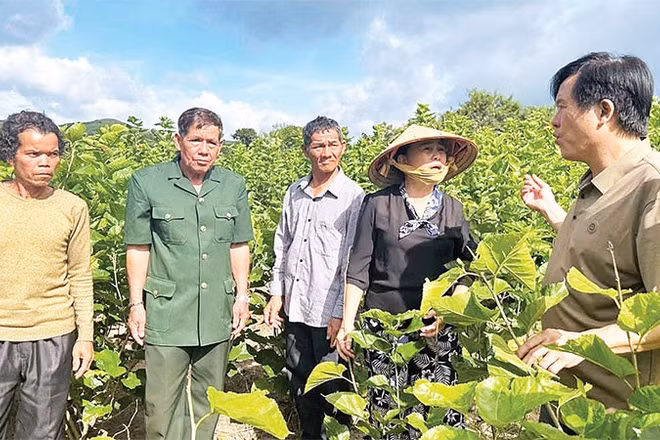 Cán bộ xã, hội đoàn thể xã Bờ Y trao đổi kinh nghiệm trồng cây nông nghiệp.