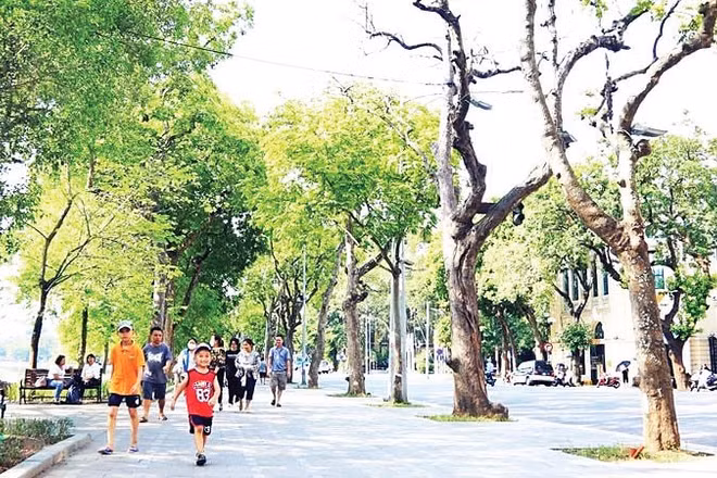 Hà Nội cần đầu tư thêm vỉa hè đủ tiêu chuẩn để người dân đi bộ an toàn, thuận lợi. (Ảnh VIẾT THÀNH)