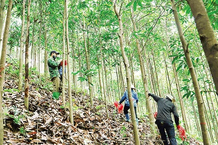 Công tác kiểm đếm được tiến hành khẩn trương, chính xác, bảo đảm không thiếu sót.