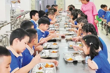 Học sinh một trường tiểu học tại Thành phố Hồ Chí Minh trong giờ ăn.