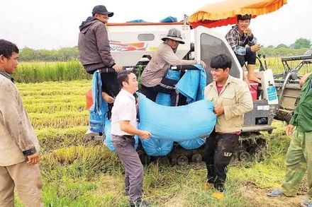 Niềm vui được mùa của người dân xã Ia Mơ.