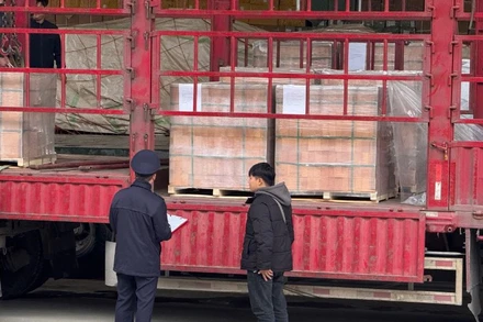 Công chức hải quan hướng dẫn thủ tục nhập khẩu hàng hóa cho doanh nghiệp.