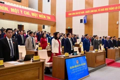 Các đại biểu thực hiện nghi thức chào cờ.