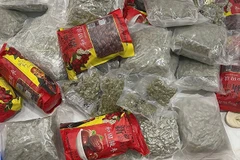 Hơn 200kg ma túy cần sa khô bị lực lượng công an thu giữ.