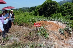 Đoàn công tác của Bộ Nông nghiệp và Môi trường kiểm tra khu vực chôn lấp lợn nhiễm bệnh tại phường Mỹ Lâm, tỉnh Tuyên Quang.